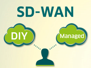 Vergleich DIY vs. Managed SD-WAN: Was eigent sich für wen?